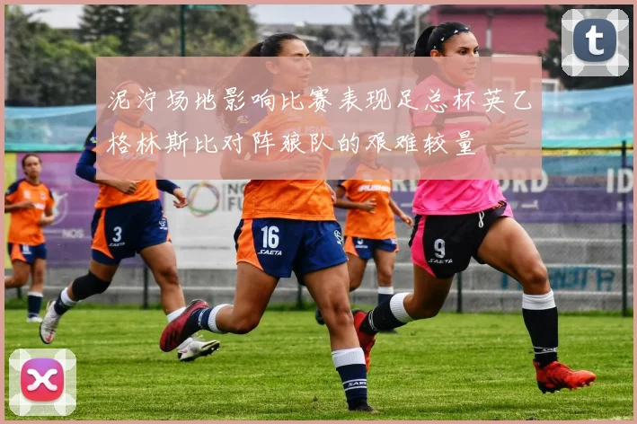泥泞场地影响比赛表现足总杯英乙格林斯比对阵狼队的艰难较量